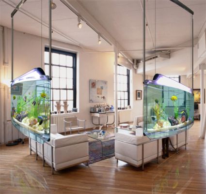 Spacearium Acquario Arredo Divisorio