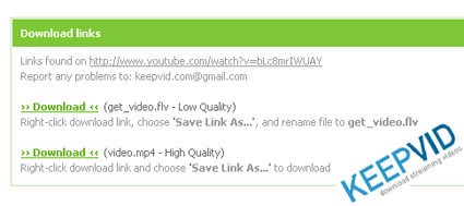 Come Salvare i Video da YouTube con KeepVid Come Salvare i Video da YouTube con KeepVid