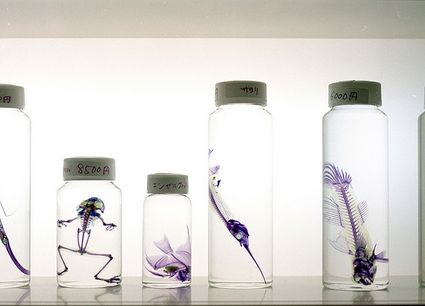 5 siti per ricaricare Design Creatività ed Ispirazione