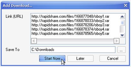 5 Ottimi Download Manager per scaricare file da Rapidshare - Raptor