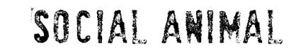 10 terrificanti Fonts Grunge - Social Animal