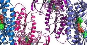 Batteri modificati geneticamente per mangiare CO2 e produrre Metano