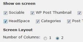 Custom fields scomparsi, e non solo, su nuovo post WordPress