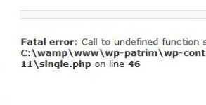 Gestire gli errori di chiamata dei plugin WordPress undefined function