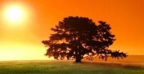 40 Sensazionali, Vibranti e Coloratissime Fotografie