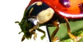 10 Spettacolari realizzazioni fotografiche OOB (Out of Bounds)