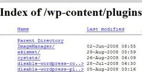 Come Proteggere la directory dei plugin di WordPress da occhi indiscreti