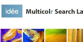 Ricerca per colori su Flickr